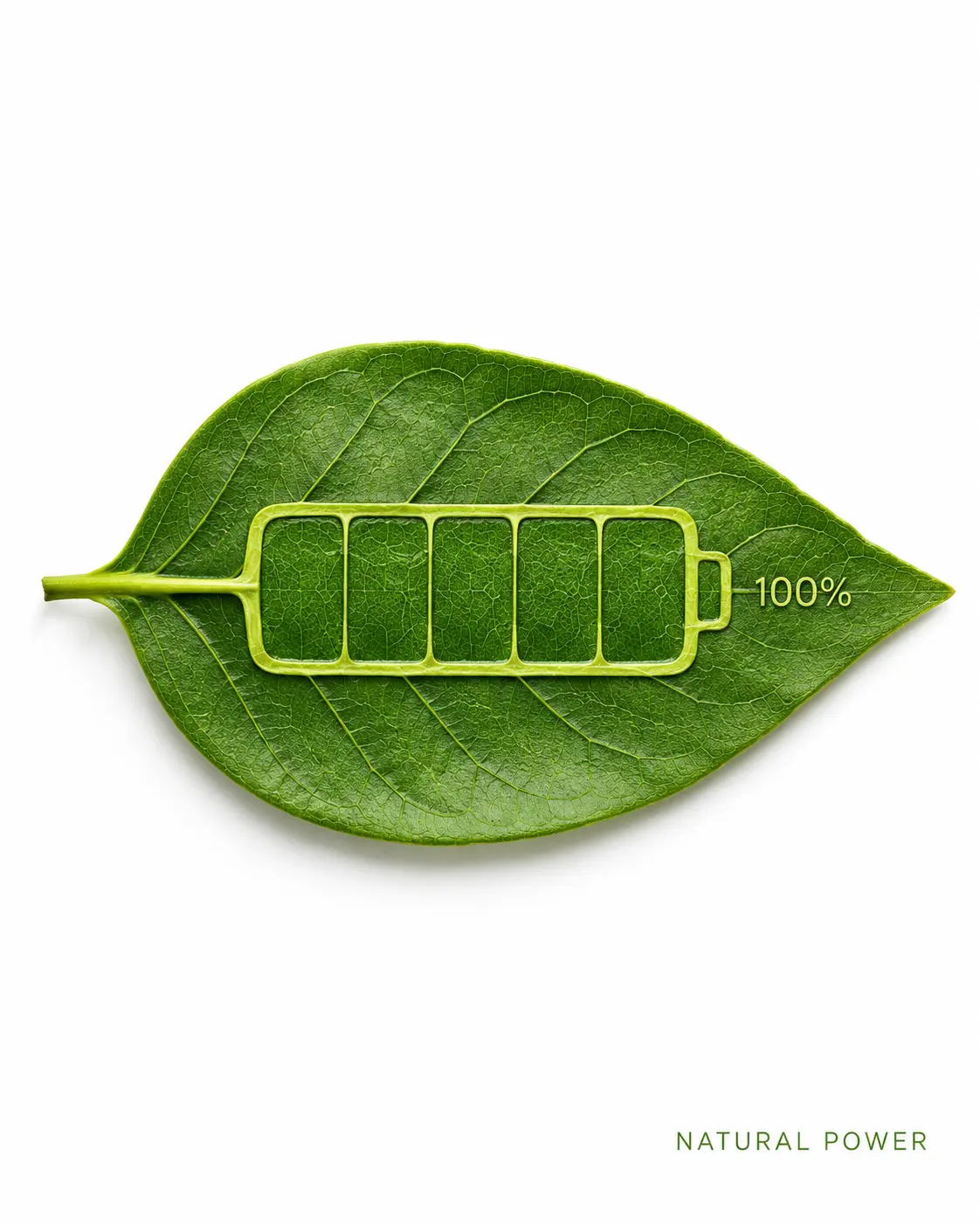 Eco-friendly energy in nature's form